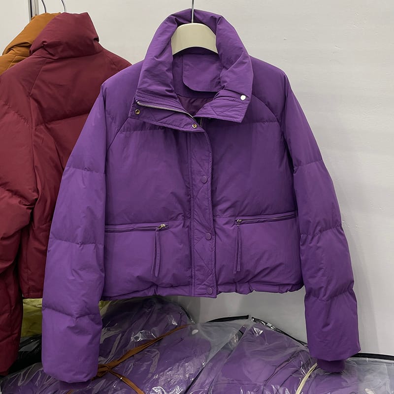 Standing Collar Short Down Jacket Women's 2023 Winter New Women's Clothing Korean Loose Small 90 White Duck Down Bread Jacket